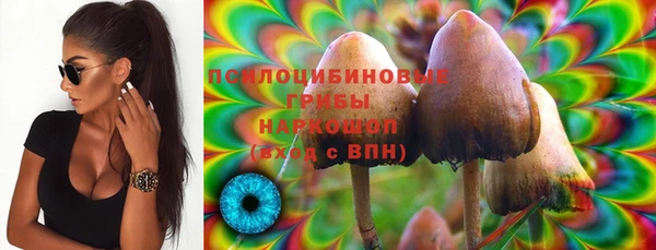 мдпв Дубовка