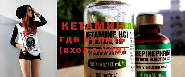 стаф Дубна