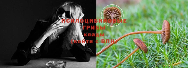 мет Тавда