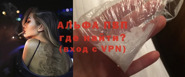 стаф Дубна