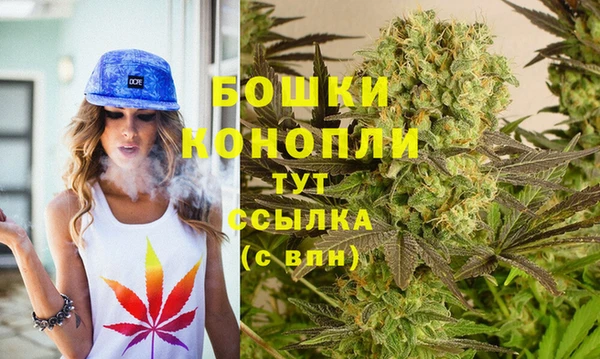 spice Тайга